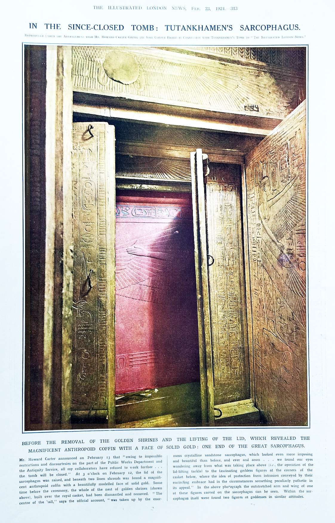 tut gold doors